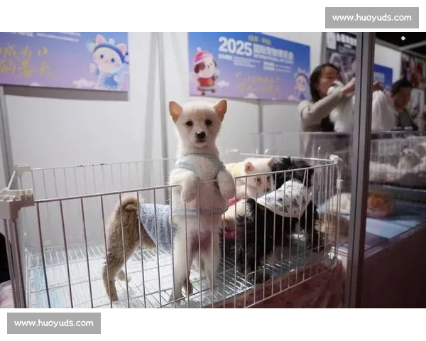 动物选美大赛精彩开幕 五十种萌宠争奇斗艳谁将成为最终的魅力之星