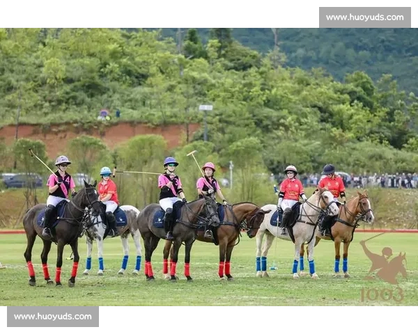 聚焦比熊犬专业赛事魅力与选手风采全景解析标准培育评审趋势